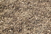 Mulčovací kůra - detail